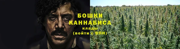 ешки Няндома