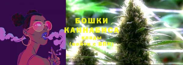 дживик Нягань