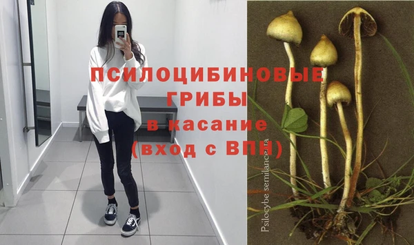 амф Осташков