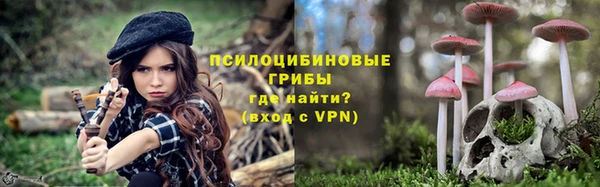 индика Остров