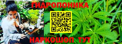 гидра Волжск