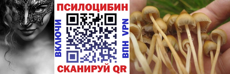 Псилоцибиновые грибы ЛСД Ялуторовск