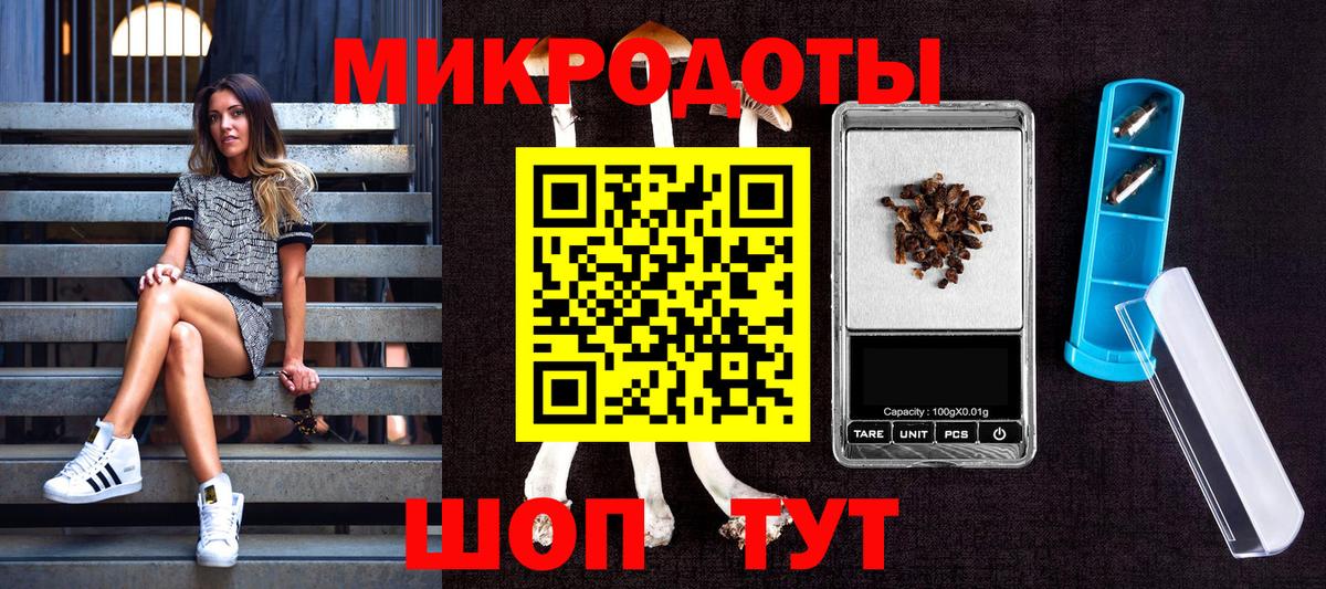 Галлюциногенные грибы Psilocybine cubensis Ялуторовск