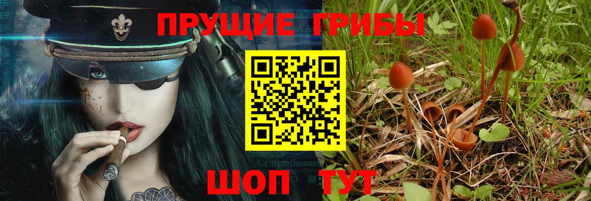 Ялуторовск  купить  цена  Вход с VPN  Галлюциногенные грибы Psilocybine cubensis  Галлюциногенные грибы мухоморы 