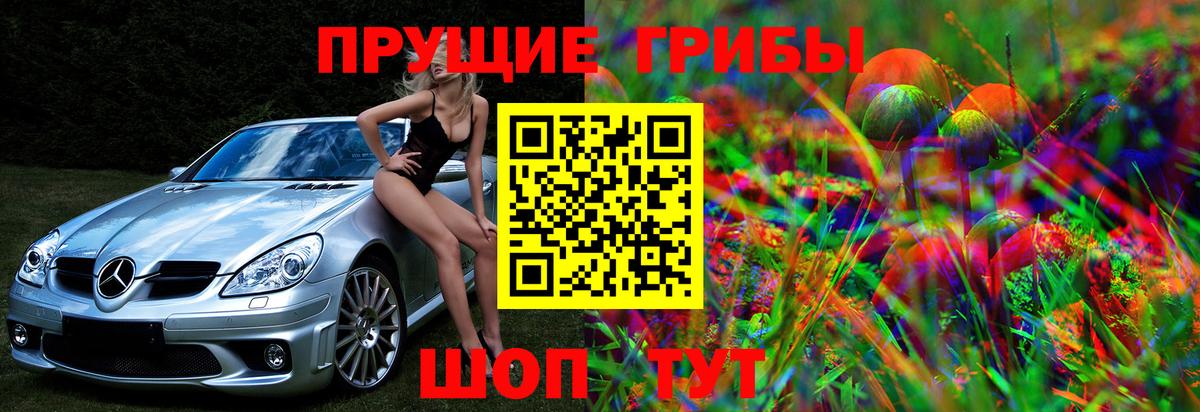 Галлюциногенные грибы ЛСД  наркошоп  Ялуторовск 